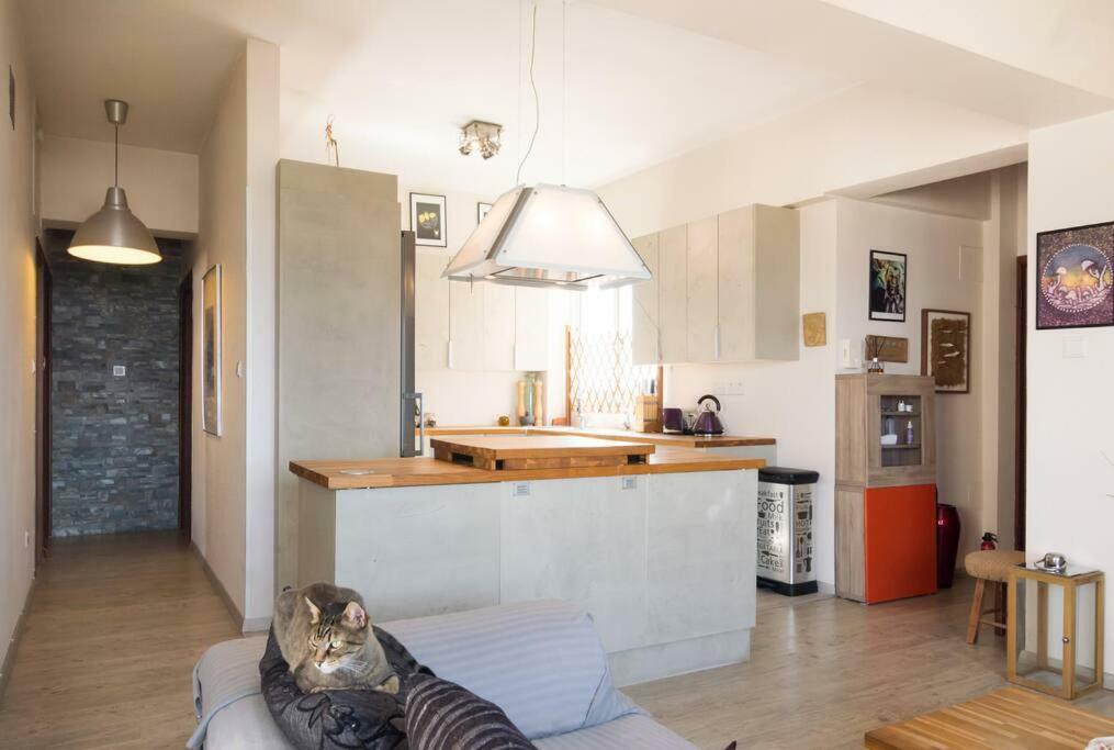 Vas' Penthouse Apartment Nicosia Exterior photo