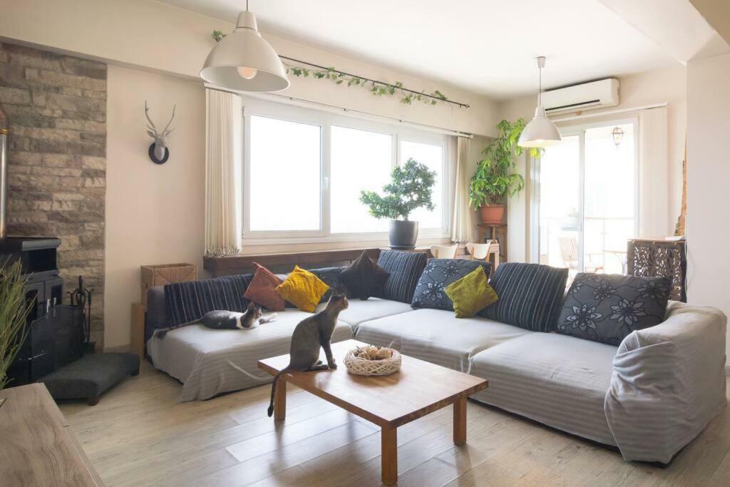 Vas' Penthouse Apartment Nicosia Exterior photo